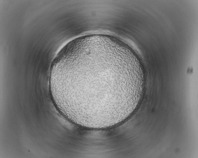 X0000091331228200709071150
