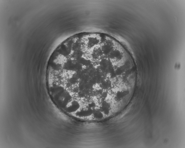 X0000091331231200709071150