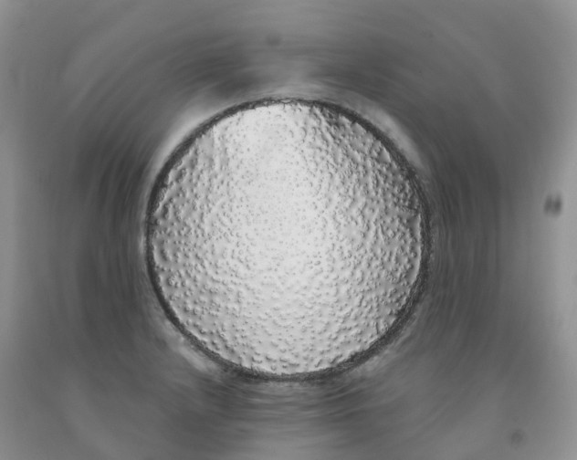 X0000091331232200709071150