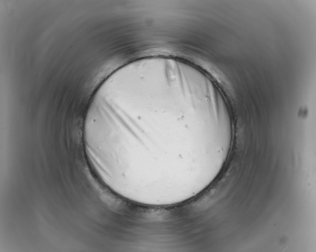 X0000091331233200709071150
