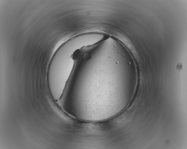 X0000091331234200709071150