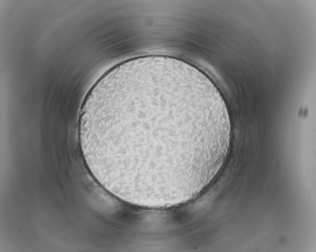 X0000091331236200709071150