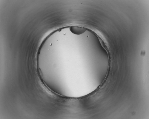 X0000091331238200709071150
