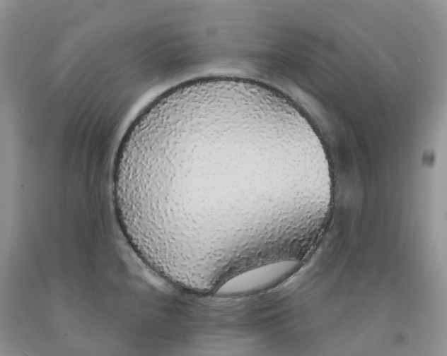 X0000091331240200709071150