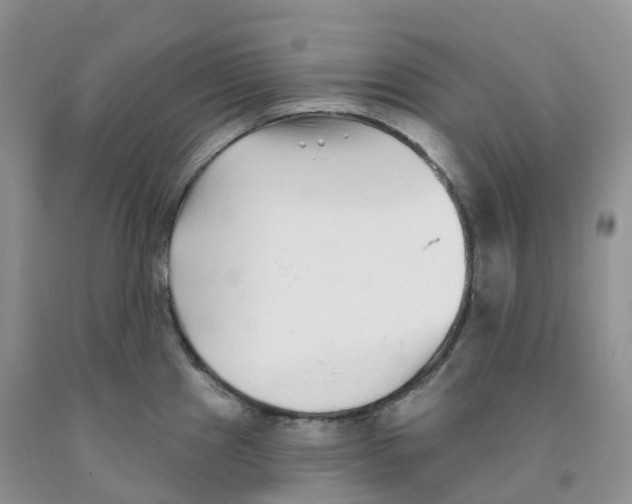 X0000091331241200709071150