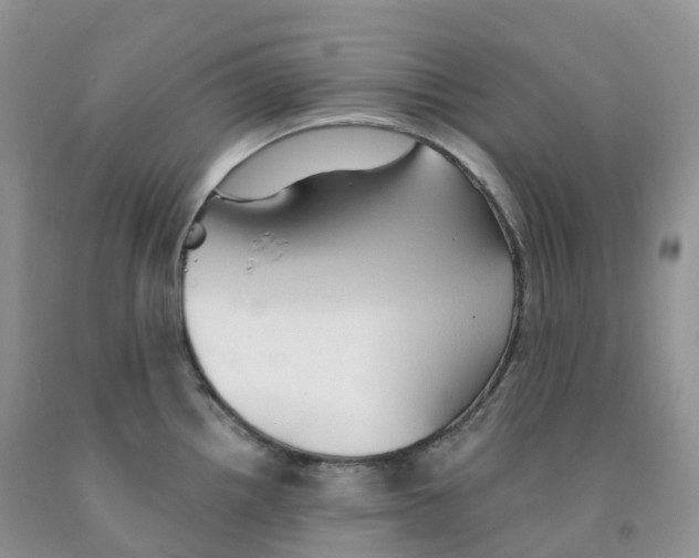 X0000091331242200709071150