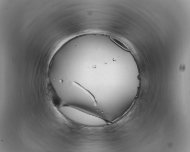 X0000091331244200709071150