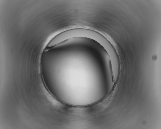 X0000091331246200709071150