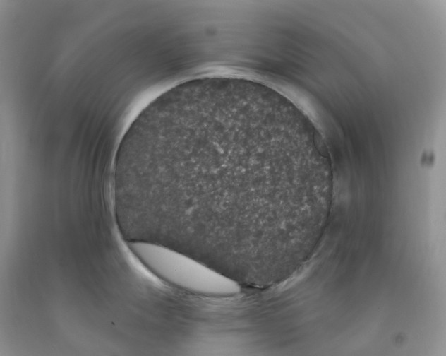 X0000091331247200709071150