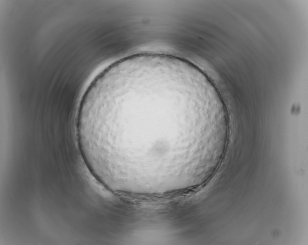X0000091331248200709071150