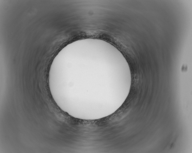 X0000091331249200709071149