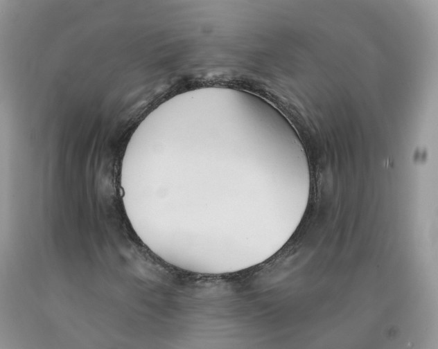 X0000091331250200709071149