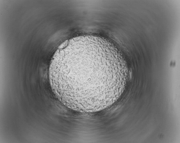 X0000091331251200709071149