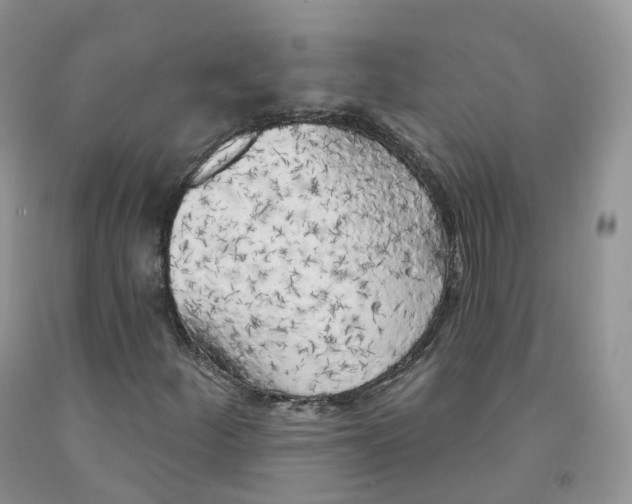X0000091331252200709071149