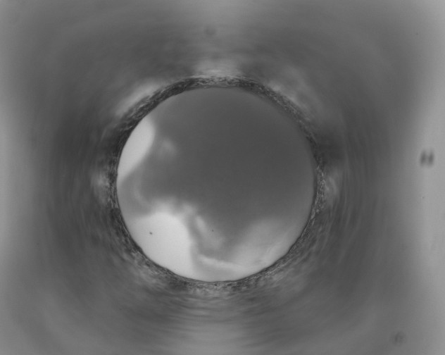 X0000091331254200709071149