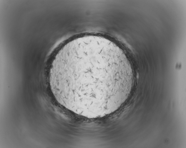 X0000091331256200709071149