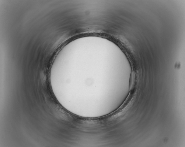 X0000091331257200709071149