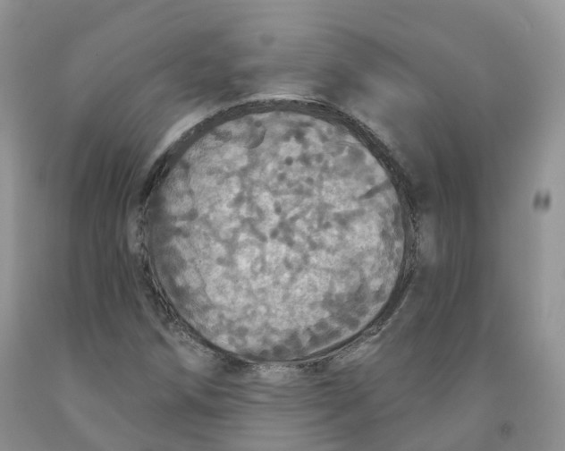 X0000091331258200709071149
