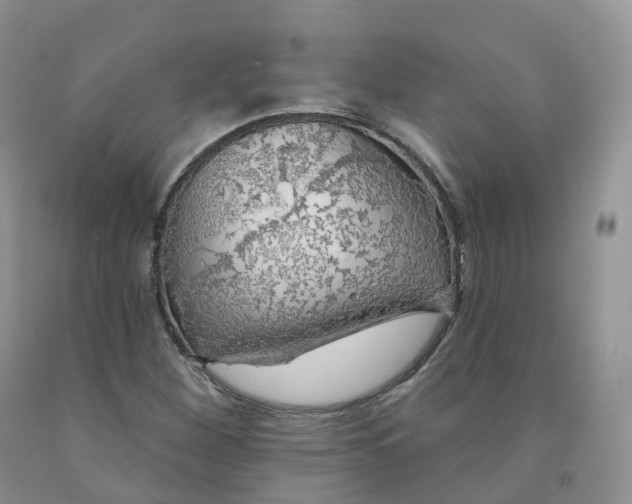 X0000091331260200709071149