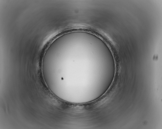 X0000091331261200709071149