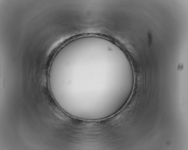 X0000091331262200709071149