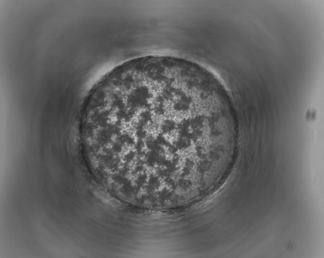 X0000091331263200709071149