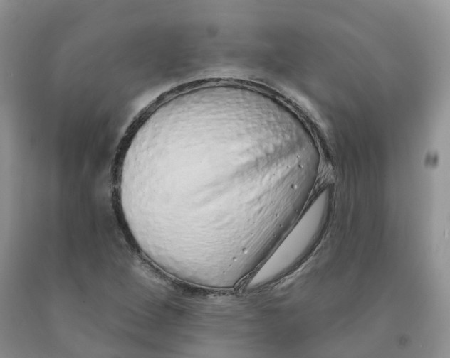 X0000091331264200709071149