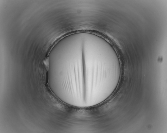 X0000091331265200709071149