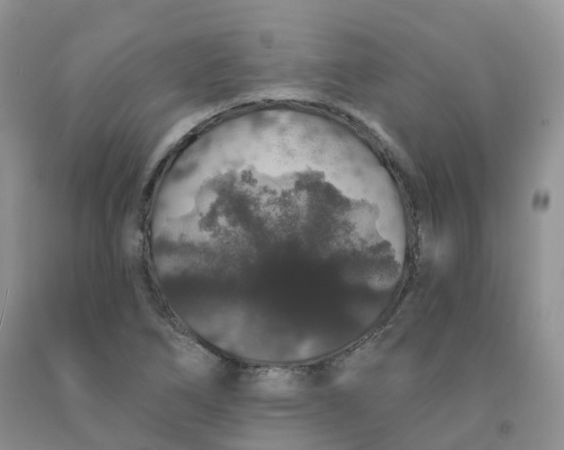 X0000091331266200709071149