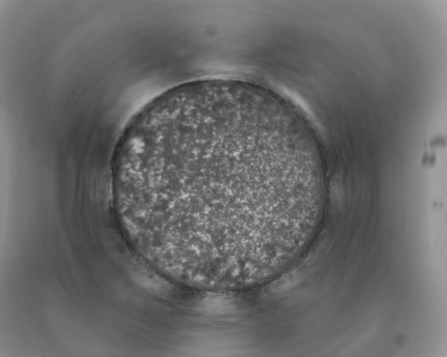 X0000091331267200709071149