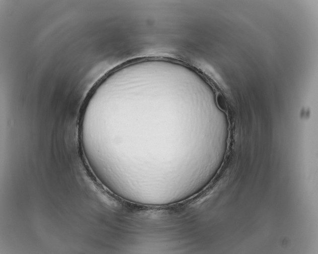 X0000091331268200709071149