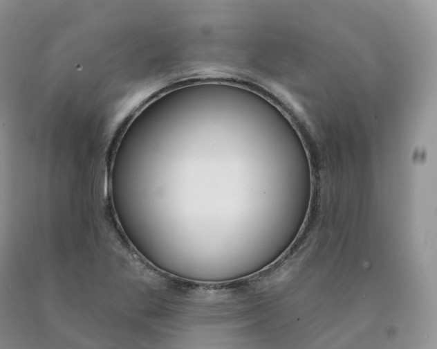 X0000091331269200709071149