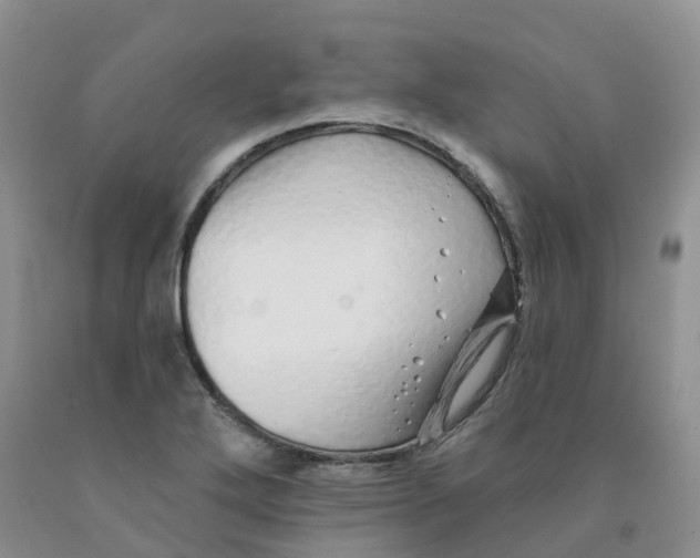 X0000091331272200709071149