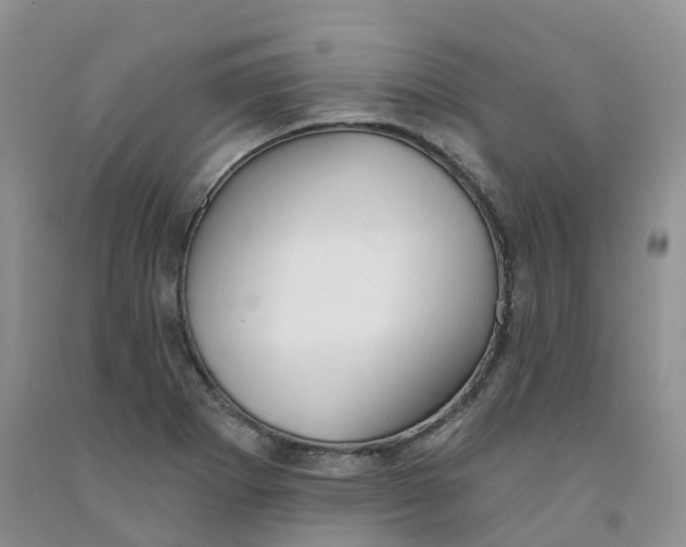 X0000091331273200709071149