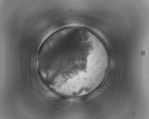 X0000091331274200709071149
