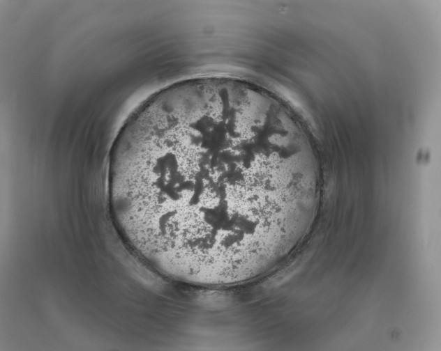 X0000091331275200709071149