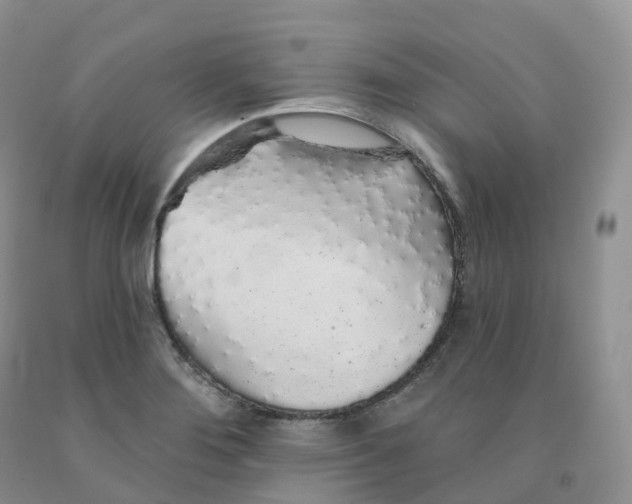 X0000091331276200709071149
