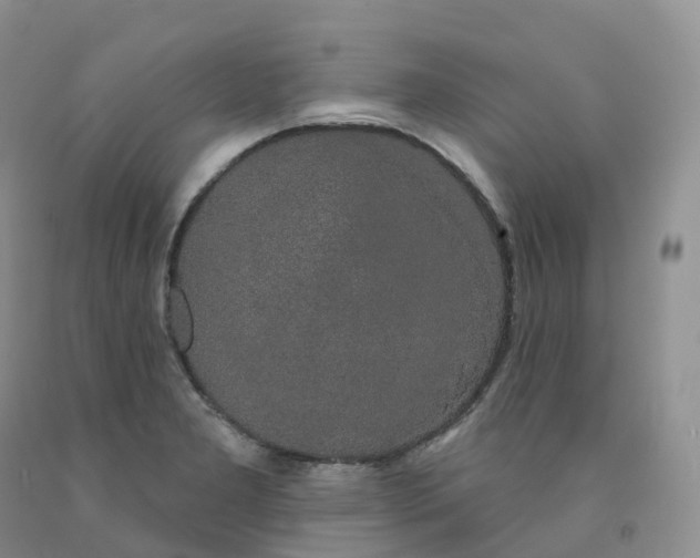 X0000091331277200709071149