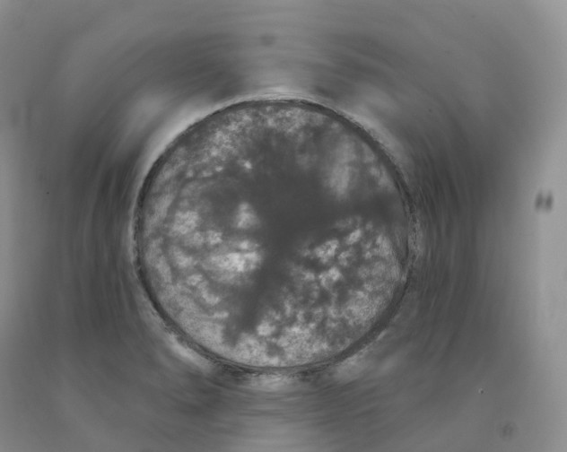 X0000091331278200709071149