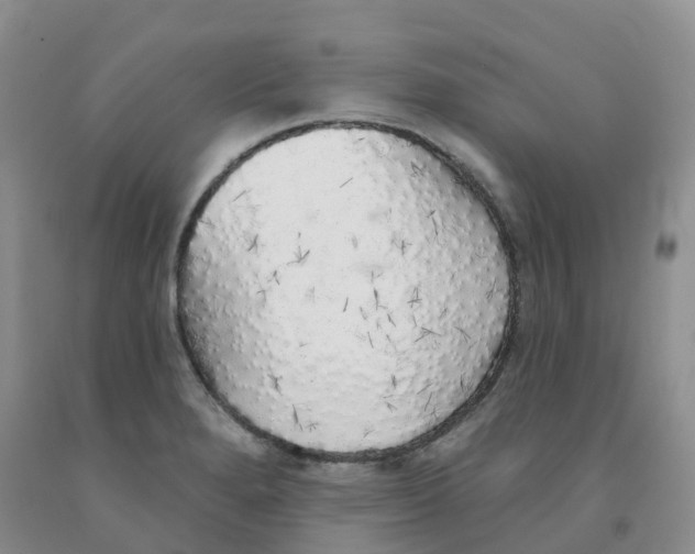X0000091331280200709071149