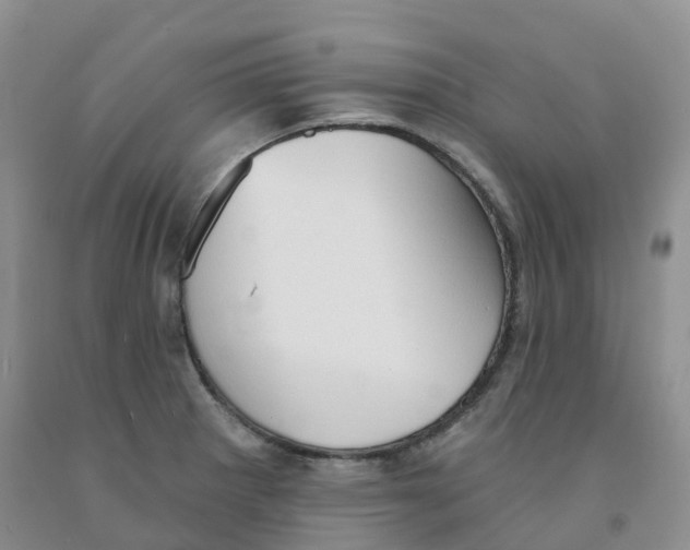 X0000091331281200709071149