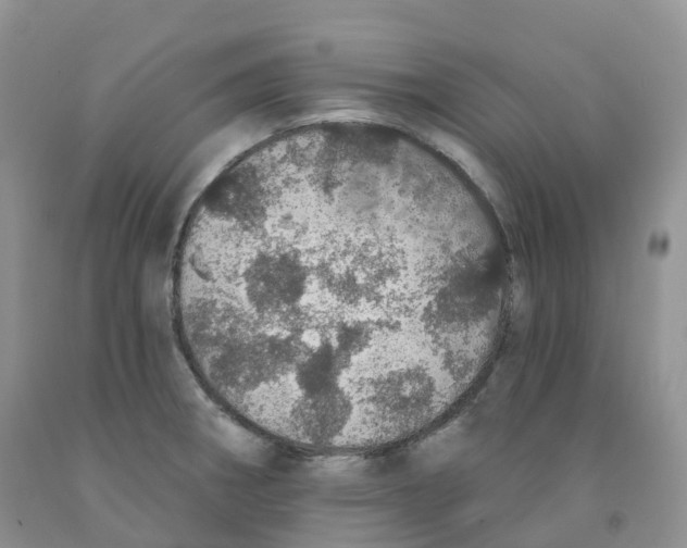X0000091331282200709071149