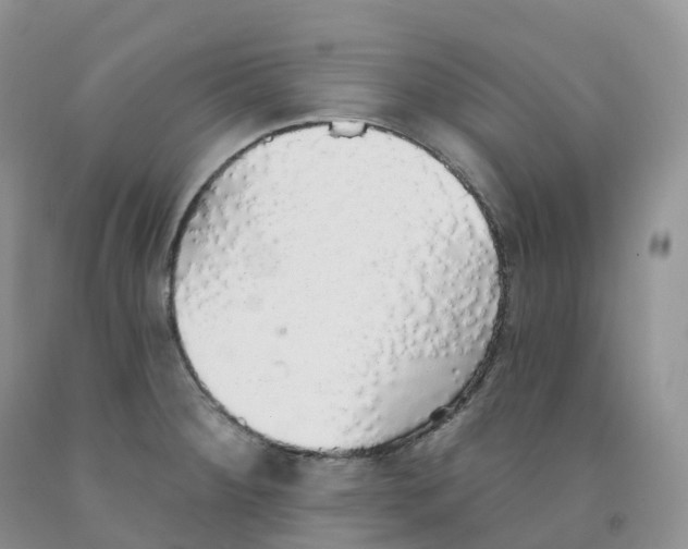 X0000091331284200709071149