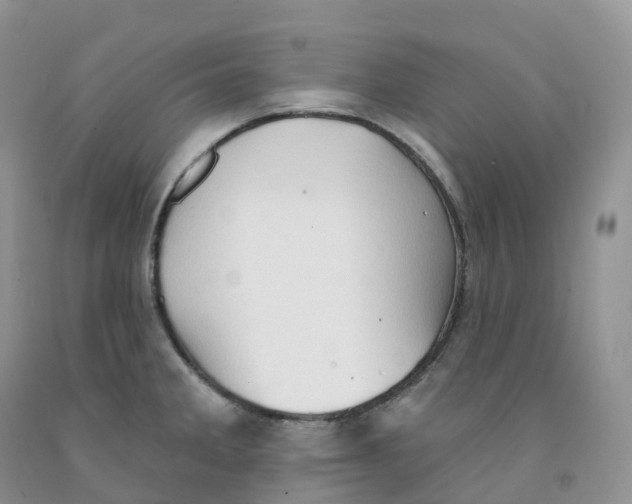 X0000091331285200709071149