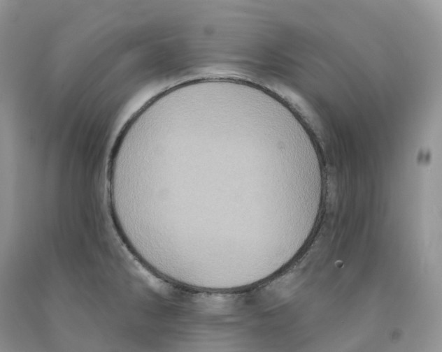 X0000091331286200709071149
