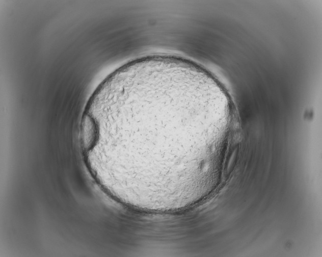 X0000091331287200709071149