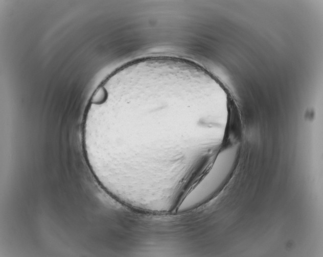 X0000091331288200709071149