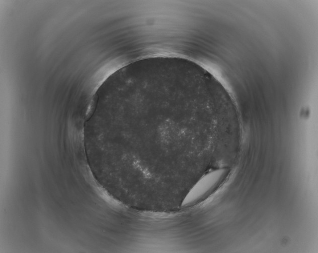 X0000091331289200709071149