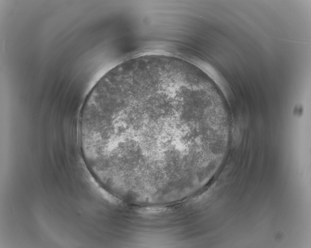 X0000091331290200709071149