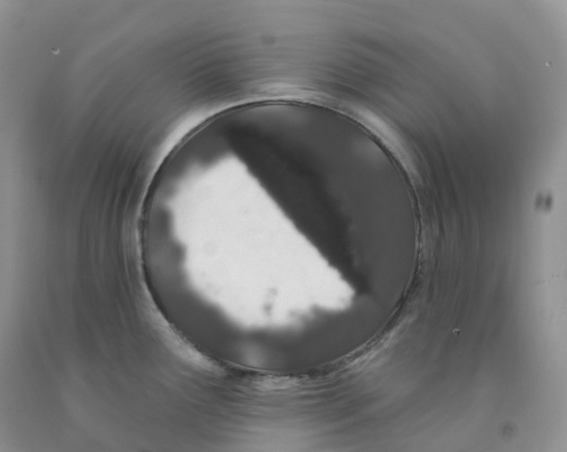 X0000091331291200709071149